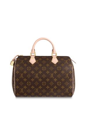 Louis Vuitton SPEEDY 30 4